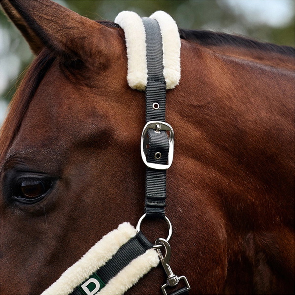 2026 Dublin Soft Fit Headcollar 1031034 - Grey